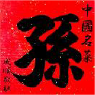 東京 六本木「中國名菜 孫」